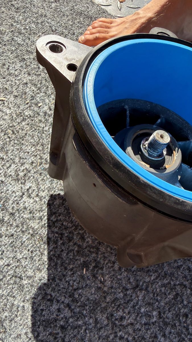 Vollständig Eingesetzter Neuer Wear Ring