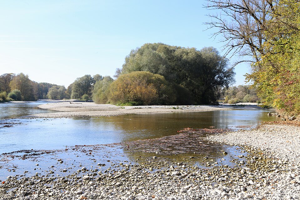 Isar In München – Herbststimmung Am Flaucher